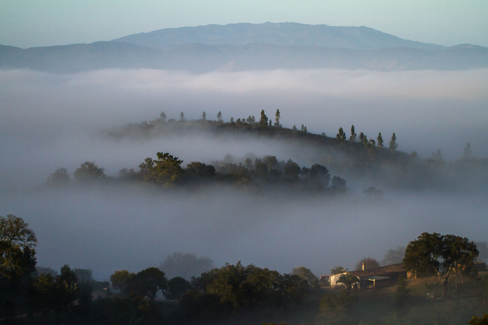 Mist in the valley-6199.jpg