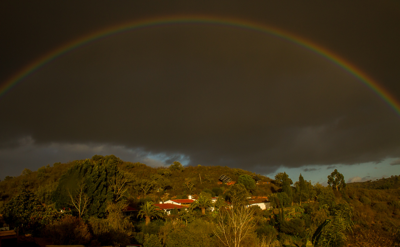 Rainbow 0384